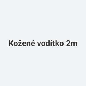 Kožené vodítko 2m